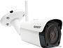 IP-камера Ginzzu HWB-5301A
