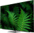 Купить oled телевизор витязь 55lu1250 в интернет-магазине X-core.by