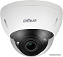 IP-камера Dahua DH-IPC-HDBW5242EP-ZE-MF