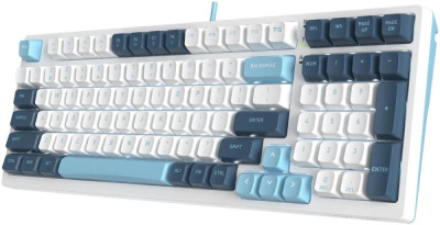 Купить клавиатура a4tech fstyler fs300 panda snowboarding в интернет-магазине X-core.by