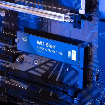 SSD WD Blue SN5000 500GB WDS500G4B0E  купить в интернет-магазине X-core.by