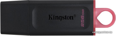 USB Flash Kingston Exodia 256GB  купить в интернет-магазине X-core.by