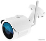 IP-камера Ginzzu HWB-2031S