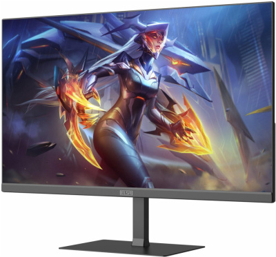Купить монитор elsa ea251q в интернет-магазине X-core.by