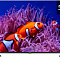 Купить телевизор artel a55mq9700 в интернет-магазине X-core.by