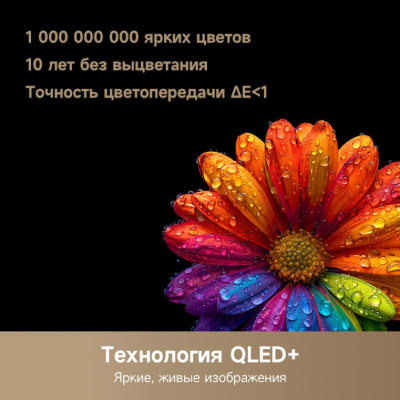 Купить телевизор dreame 55q100 в интернет-магазине X-core.by