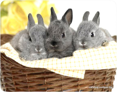 Купить коврик для мыши buro bu-m40092 в интернет-магазине X-core.by