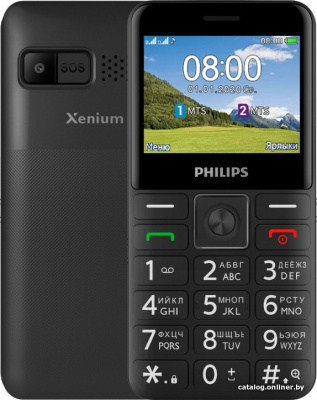 Купить мобильный телефон philips xenium e207 (черный) в интернет-магазине X-core.by
