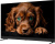 Купить телевизор topdevice 50 qled dq08 в интернет-магазине X-core.by