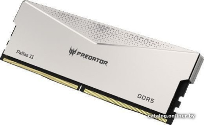 Оперативная память Acer Predator Pallas II 2x16ГБ DDR5 6400 МГц BL.9BWWR.532  купить в интернет-магазине X-core.by