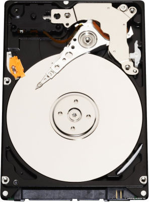 Жесткий диск Infortrend HELT72S3T10-0030G 10TB купить в интернет-магазине X-core.by