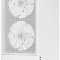 Корпус Montech X2 Mesh (белый)  купить в интернет-магазине X-core.by