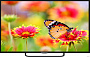 Телевизор Horizont 43LE7912D