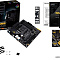 Материнская плата ASUS TUF Gaming B550M-Plus  купить в интернет-магазине X-core.by