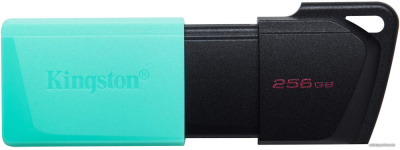 USB Flash Kingston DataTraveler Exodia M 256GB  купить в интернет-магазине X-core.by