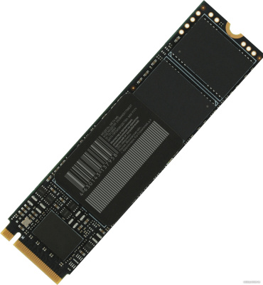 SSD Digma Meta M6 1TB DGSM4001TM63T  купить в интернет-магазине X-core.by