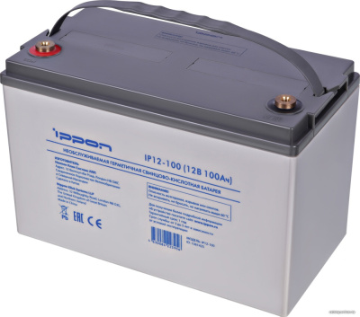 Купить аккумулятор для ибп ippon ip12-100 (12в/100 а·ч) в интернет-магазине X-core.by
