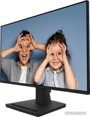 Купить монитор msi pro mp252 в интернет-магазине X-core.by