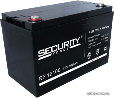 Купить аккумулятор для ибп security force sf 12100 (12в/100 а·ч) в интернет-магазине X-core.by