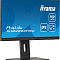 Купить монитор iiyama prolite xub2293hsu-b7 в интернет-магазине X-core.by