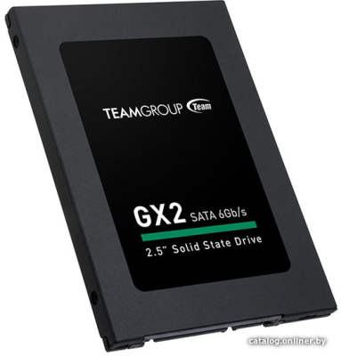 SSD Team GX2 256GB T253X2256G0C101  купить в интернет-магазине X-core.by