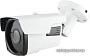 IP-камера Arsenal AR-IP502SDP/63-MZ Starlight