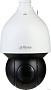 IP-камера Dahua DH-SD5A425GA-HNR
