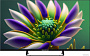 Телевизор Topdevice TDTV40CS04FBK