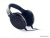 Картинка Наушники Sennheiser HD 650 от магазина X-core.by Купить наушники sennheiser hd 650 в интернет-магазине X-core.by