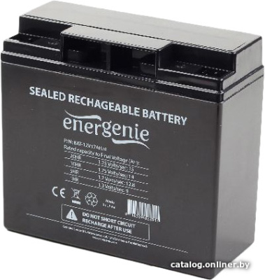 Купить аккумулятор для ибп energenie bat-12v17ah/4 в интернет-магазине X-core.by