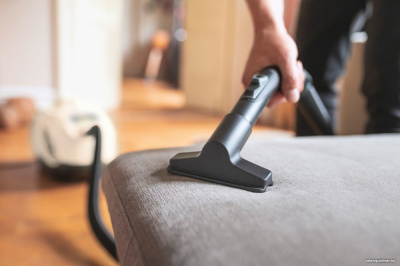 Пылесос Karcher DS 6 Plus 1.195-252.0  купить в интернет-магазине X-core.by