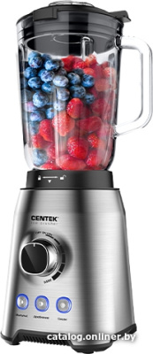 Стационарный блендер CENTEK CT-1329  купить в интернет-магазине X-core.by