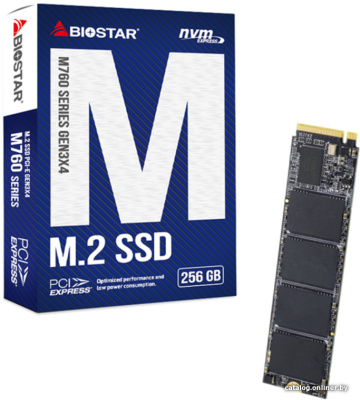 SSD BIOSTAR M760 256GB M760-256GB  купить в интернет-магазине X-core.by