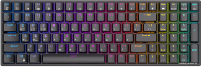 Купить клавиатура royal kludge rk100 rgb (черный, rk red) в интернет-магазине X-core.by